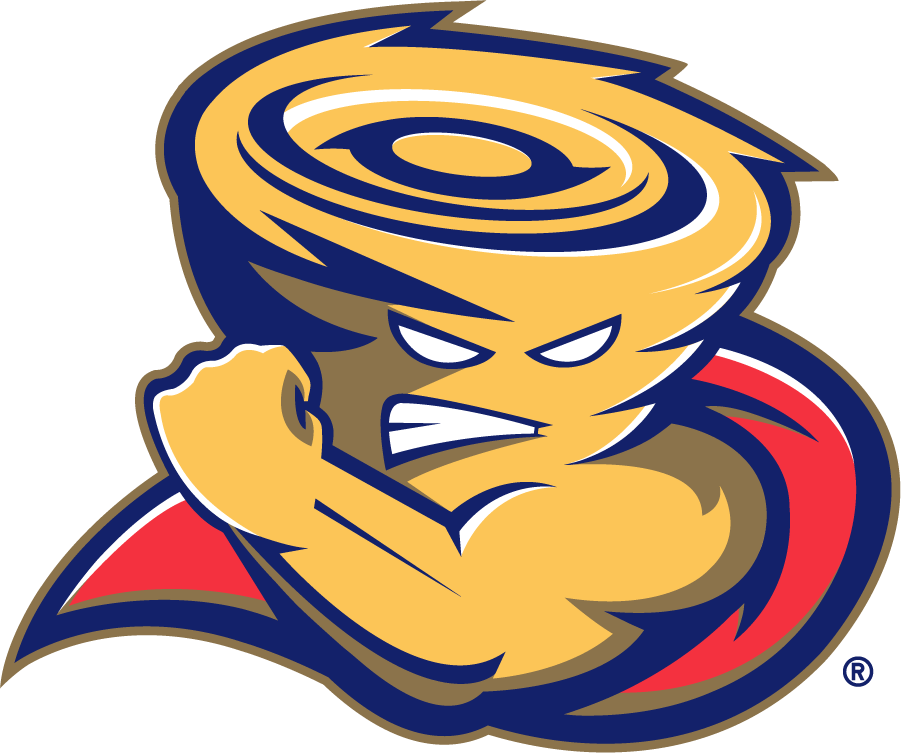 Tulsa Golden Hurricane 2006-2009 Mascot Logo diy iron on heat transfer